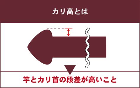 カリ首とは？ わかりやすく解説